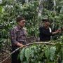 Mengenal Ragam Jenis Kopi khas Ciamis di Festival Coffee Rajadesa
