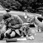 Kelanjutan dari Nasib Para Anjing Corgi Peliharaan Ratu Elizabeth II