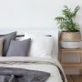 Mau Pajang Tanaman Hias di Kamar Tidur? Ini 5 Pilihan Terbaiknya!