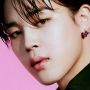 Jimin BTS Kembali Puncaki Peringkat Reputasi Brand Anggota Boy Group K-pop