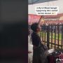 Joget Aduhai, Aksi Cowok Goreng Tahu Sambil Nonton Konser Ini Bikin Warganet Iri