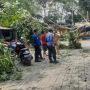 Dihantam Puting Beliung Pohon Tumbang di Solear Tangerang Timpa Belasan Rumah