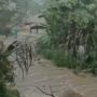 Dua Hari Desa Karangtengah Banyumas Diterjang Banjir Bandang, Pengurasan Embung BPTU Sapi Diduga Jadi Biangkeroknya