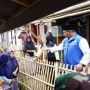 Datangi Warga Garut yang Rumahnya Dirobohkan Rentenir, Wagub Jabar Tawarkan Solusi Dana Cepat tanpa Jaminan