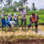 Belajar Pertanian Ramah Lingkungan di Kampung Papisangan