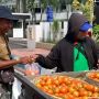 Setelah DPRD, Petani Jember Juga Bagikan 1 Kwintal Tomat Gratis di Depan Kantor Pemkab
