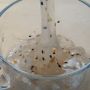 7 Manfaat Lotus Root Powder Bagi Kesehatan, Salah Satunya Bisa Melancarkan Diet
