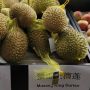 Durian Musang King dan Black Thorn Jadi Komoditas Baru Andalan Sulsel