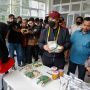 Wujudkan Ketahanan Pangan, PMI Persiapkan Tanam Jagung di Lahan 250 Hektar