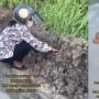 Dengar Suara Hewan Terjebak, Aksi Perempuan Selamatkan Anak Anjing Ini Bikin Salut