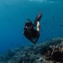 4 Wisata Bawah Laut Terbaik di Indonesia, Wajib Masuk Wishlist!