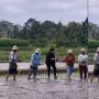 Dear Bu Puan, Begini Cara Menanam Padi yang Benar Ala Wong Cilik Sesungguhnya