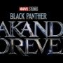 Black Panther: Wakanda Forever Bakal Jadi Film Kedua MCU dengan Durasi Terlama