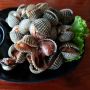 Saking Enaknya, TikTokers Ini Mukbang Kerang Dara Sampai Pusing