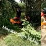Heboh Pemuda Ini Tangkap Lele Ukuran Raksasa 30 kg, Warganet: Cukup Buat Makan Satu RT