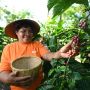 MIND ID Dukung dan Lestarikan Produk Kopi Dalam Negeri