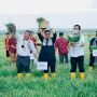 Rehabilitasi Jaringan Irigasi Tersier di Kulonprogo Mampu Tingkatkan Panen Bawang Merah