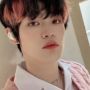Viral Sayuran Punya Nama Persis Seperti Member NCT, Publik Temukan Fakta Lain