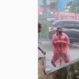 Dua Ular Piton Keluar dari Gorong-gorong Pertokoan Saat Banjir Genangi Batam