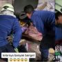 Aksi Damkar Evakuasi Ular Erami Telur di Dalam Rumah Bikin Heboh, Warganet: Saking Rajinnya Bersih-Bersih