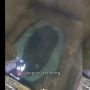 Penampakan WC di Dalam Bak Mandi, Warganet: Pikiranku Jadi Travelling