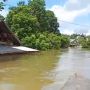 Banjir Rendam Sejumlah Wilayah Ketapang, Ketinggian Air Hingga 3 Meter, Ribuan Warga Terdampak