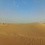 Tak Sekadar Hamparan Pasir, Inilah 7 Hal yang Ditawarkan Dubai Desert Safari