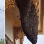 Takut Jemur Baju, Wanita Ini Tunjukkan Sarang Lebah Raksasa di Rumahnya
