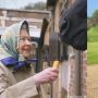 Potret Emma, Kuda Poni Favorit Ratu Elizabeth II yang Ikut Prosesi Pemakaman