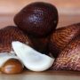 5 Manfaat Buah Salak yang Jarang Diketahui