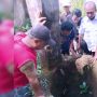 Kecebur ke Dalam Sumur Tua Selama Dua Hari, Nenek Ini Ditemukan Selamat