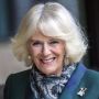 Resmi Jadi Queen Consort, Berapa Harta Kekayaan Camilla Istri Raja Charles III?