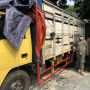 Petugas Gabungan Masih Sibuk Kosongkan Barang-barang di Rumah Wanda Hamidah