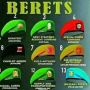 Mengenal Apa Arti Warna Baret TNI yang Berbeda-beda