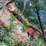 Indonesia Masih Akan Diguyur Hujan, BMKG: Waspada Banjir dan Longsor