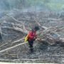 Terjadi Kebakaran Hutan dan Lahan di Penajam