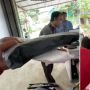 COD Terdekat, Kurir Ini Tinggal Teriakkan Nama Karyawan Ekspedisi Usai Sortir Paket