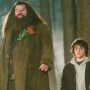 Robbie Coltrane Meninggal Dunia, Warganet Sampaikan Salam Perpisahan
