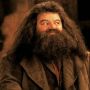 Terungkap Penyebab Wafatnya Pemeran Hagrid dalam 'Harry Potter'