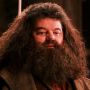 Perjalanan Karier Robbie Coltrane, Pemeran Hagrid di Film Harry Potter Meninggal Dunia