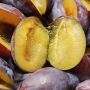 5 Manfaat Buah Jamblang untuk Kesehatan, Salah Satunya Cegah Anemia!