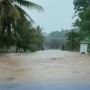 Kondisi Terkini Banjir Malang Selatan, Seekor Sapi Dievakuasi Menerjang Banjir