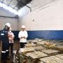 Pakai Helm Proyek, Jokowi Tinjau Proyek Smelter di Bangka Barat
