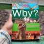 Bertualang ke Lorong Waktu: Ulasan Buku Why? Dinosaurus