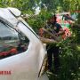 Tak Ada Angin Tak Ada Hujan, Tiba-tiba Pohon Tumbang Timpa Mobil dan Becak, Seorang Penumpang Becak Meninggal