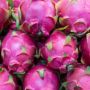5 Manfaat Buah Naga untuk Ibu Hamil yang Jarang Diketahui