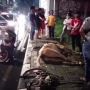 Miris, Sempat Terkapar Di Pondok Indah, Kuda Penarik Andong Bernama Dewa Mati Karena Sakit