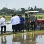 Deli Serdang Mulai Gerakan Tanam Padi Perdana, Target Surplus Beras