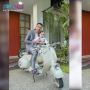 Sikap Agresif Rayyanza Saat Ketemu Ameena Disorot: Kelakuan Raffi Ahmad Banget
