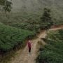 3 Surga Tersembunyi Ini Ada di Kendal? Yuk Kita Jelajahi!